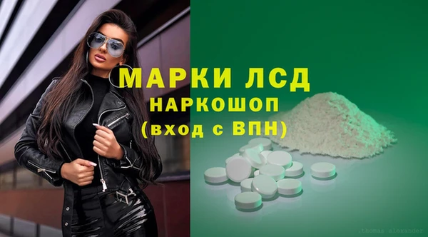 шишки Новокубанск