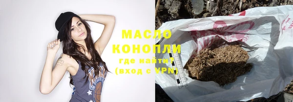 индика Новодвинск
