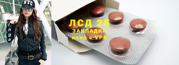 спиды Алзамай