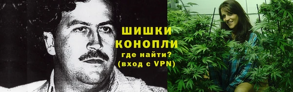 сатива Абинск